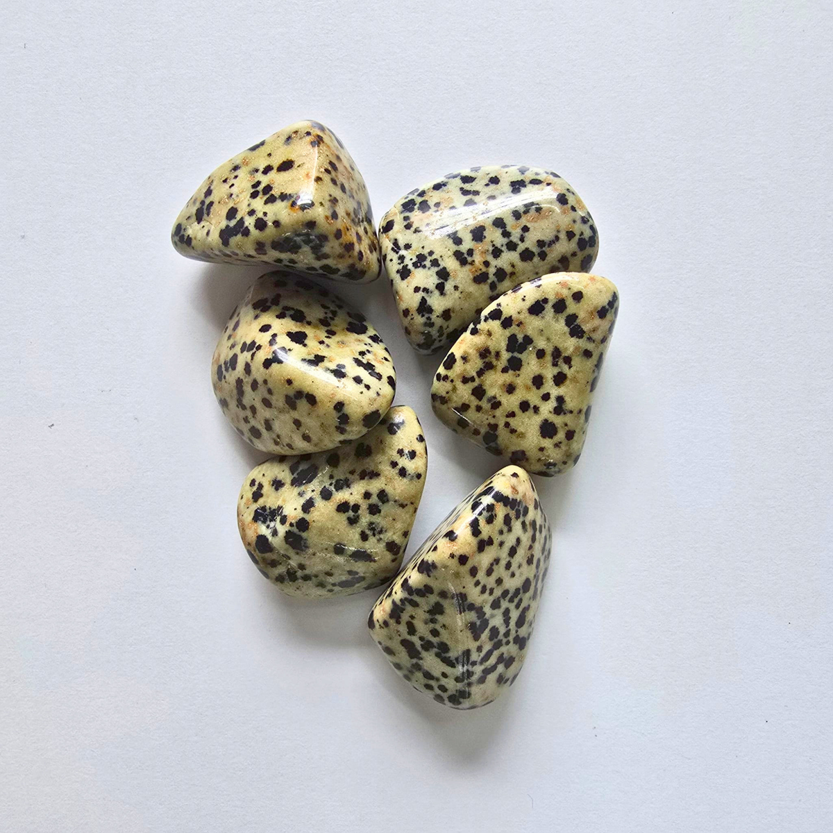 Jaspe Dalmatien