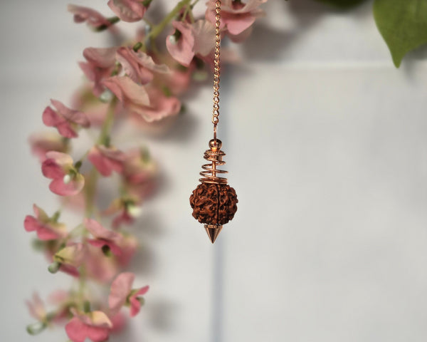 Rudraksha - Perle De Shiva