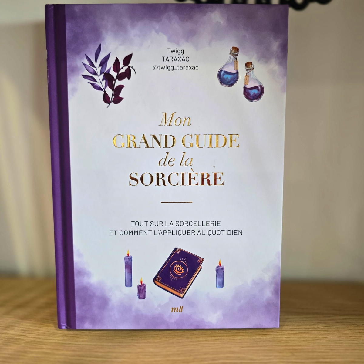 Grand Guide De La Sorcière