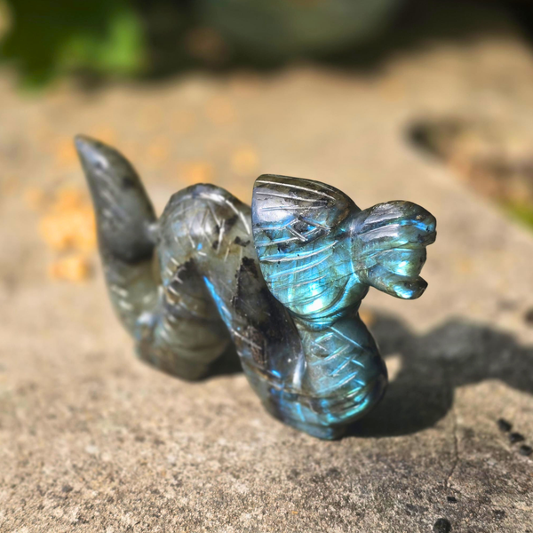 Labradorite