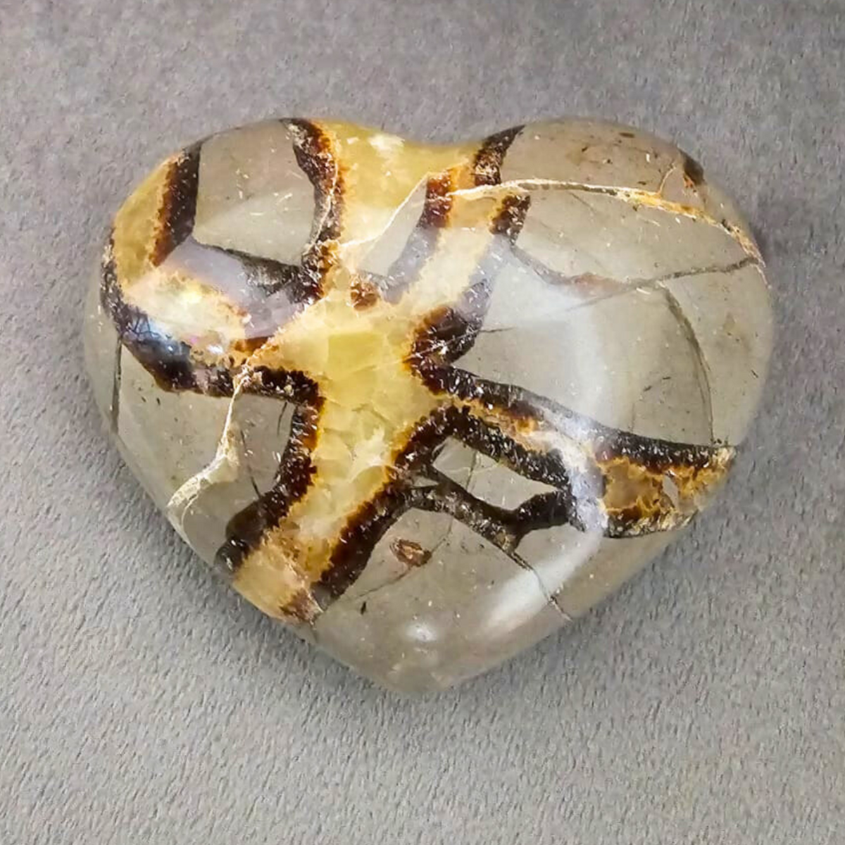 Septaria