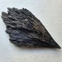 Cyanite Noire