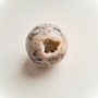 Agate Dendritique