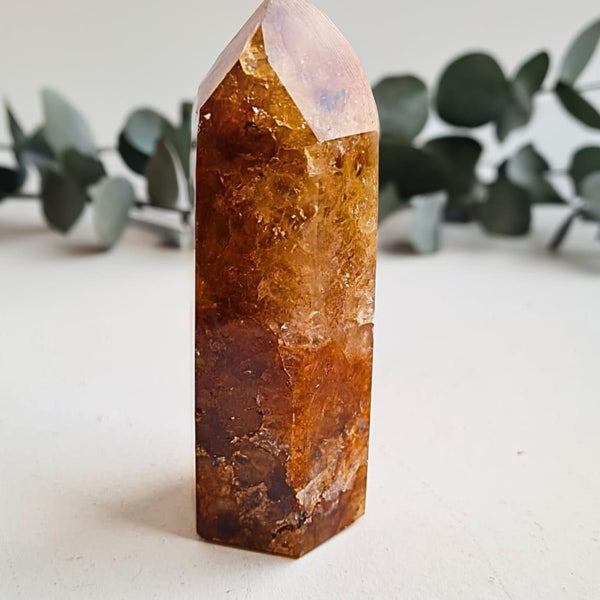 Quartz Guérisseur Doré