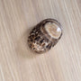 Aragonite Marron