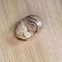 Aragonite Marron