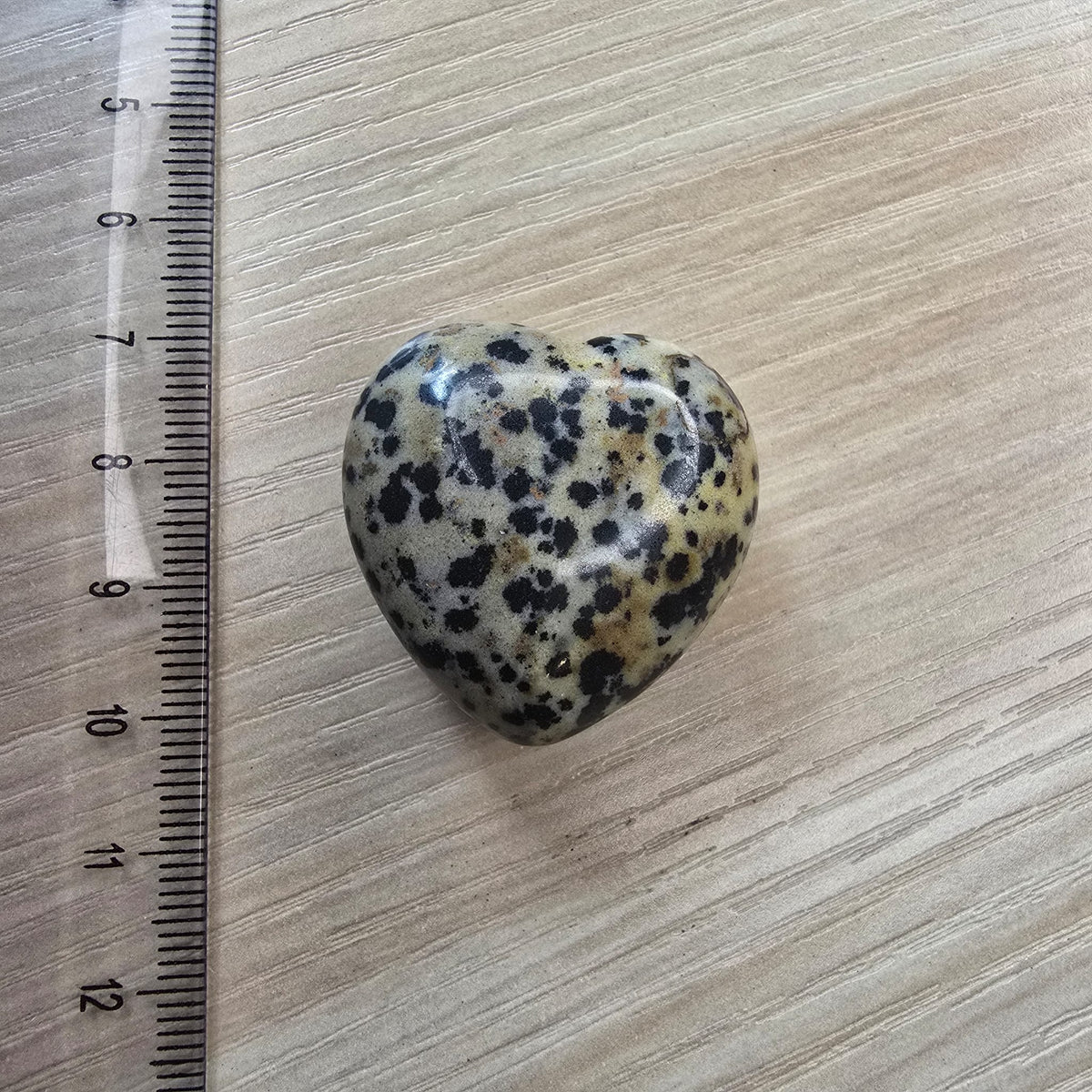Jaspe Dalmatien