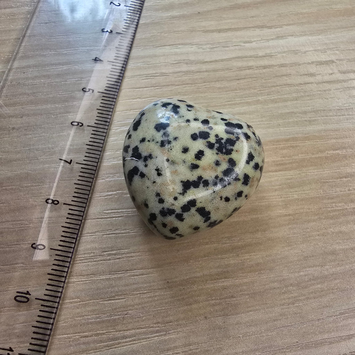 Jaspe Dalmatien