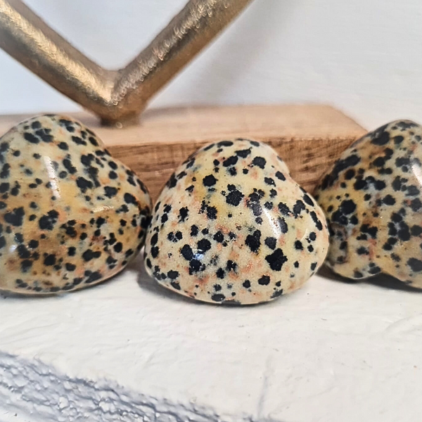 Jaspe Dalmatien